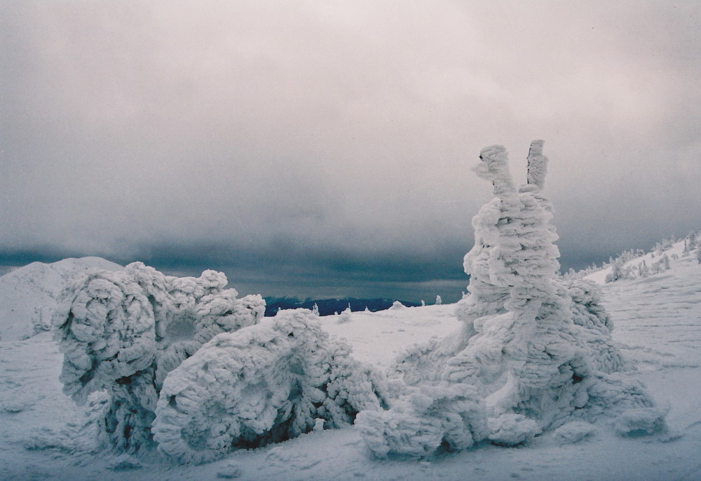 Фотографія Архітектори сніг та вітер або зайчики,білочки і проча нечисть... / Николай Данюк / photographers.ua