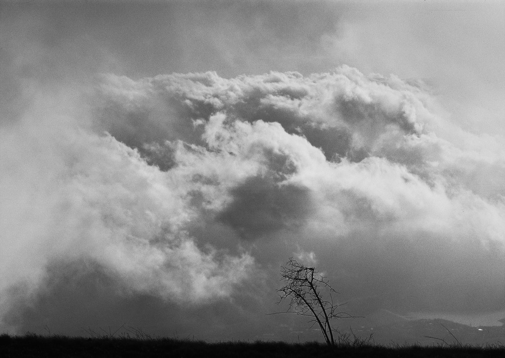 Фотографія Путешествие / Николай Данюк / photographers.ua