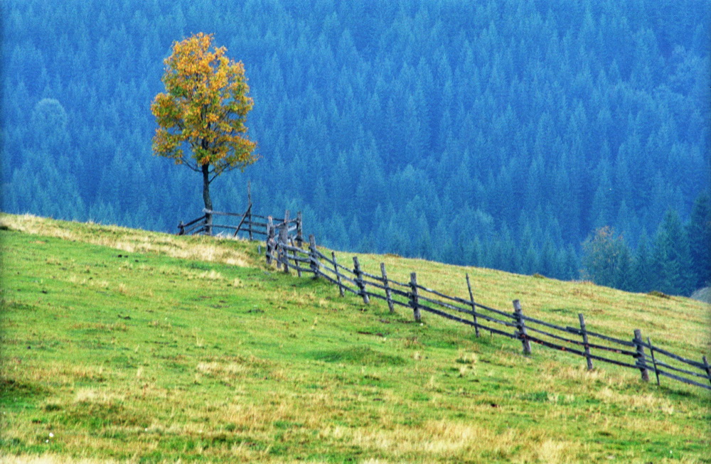 Фотографія Путешествие / Николай Данюк / photographers.ua