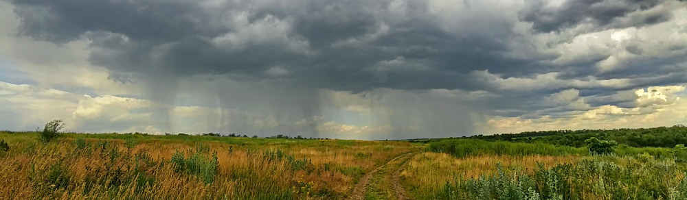 Фотографія таки дождь.. / LANA / photographers.ua