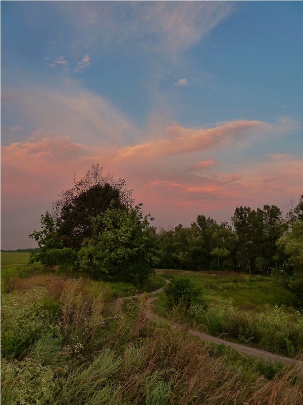 Фотографія вечерние краски / LANA / photographers.ua