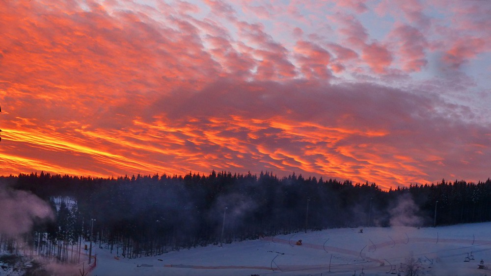 Фотографія колір нового дня / LANA / photographers.ua