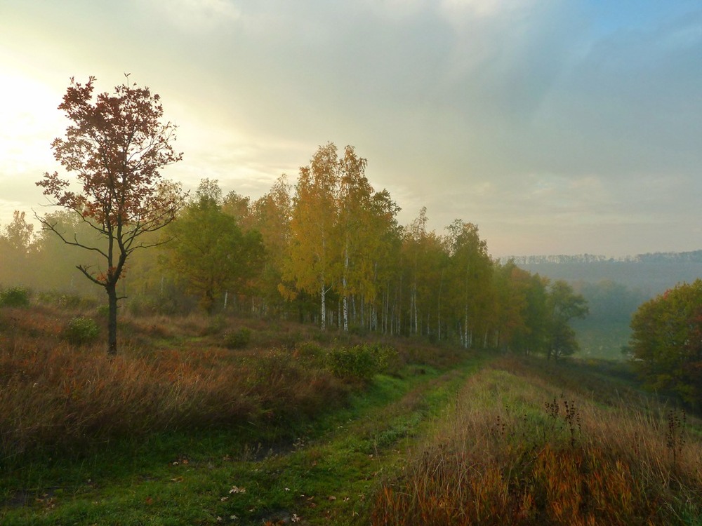 Фотографія осенние картинки / LANA / photographers.ua