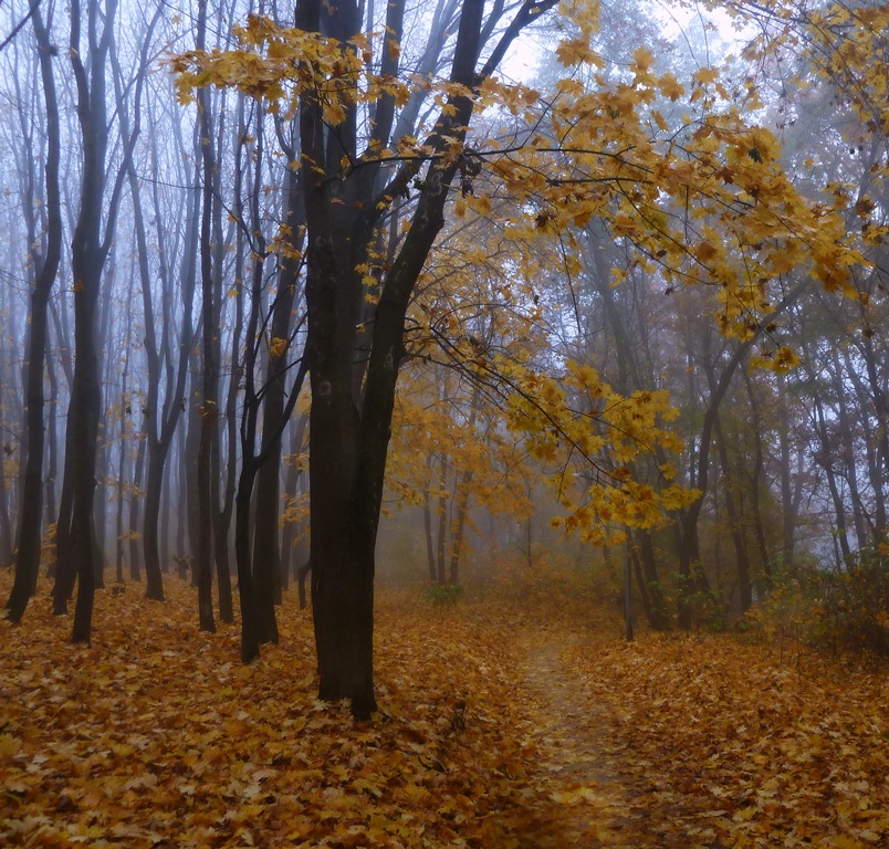 Фотографія Пейзаж / LANA / photographers.ua