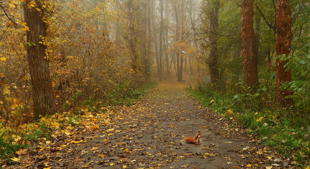 Фотографія ходят тут всякие... / LANA / photographers.ua