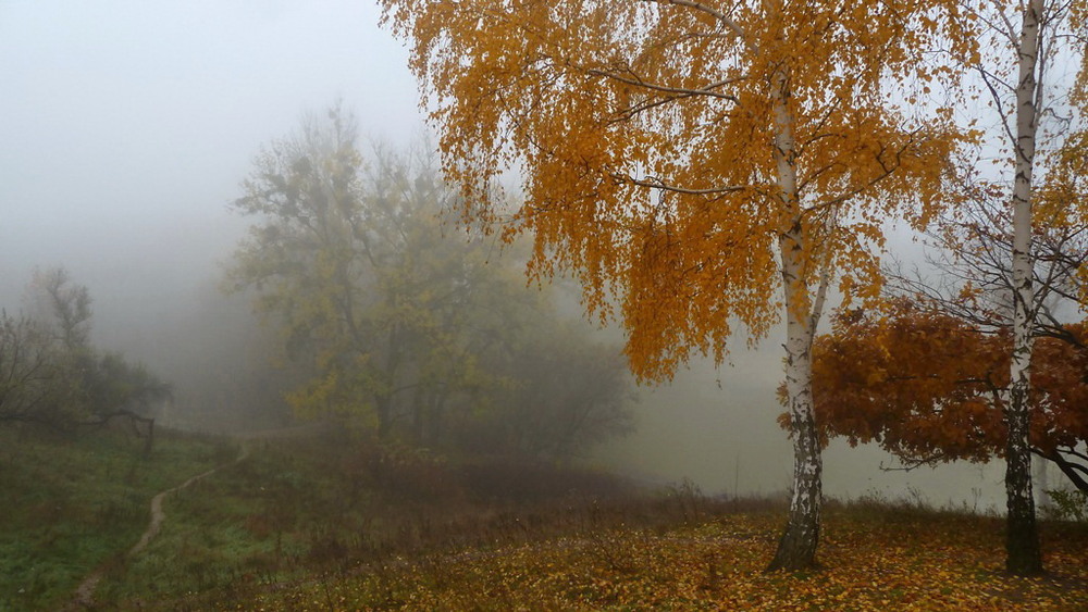 Фотографія ...за туманом / LANA / photographers.ua