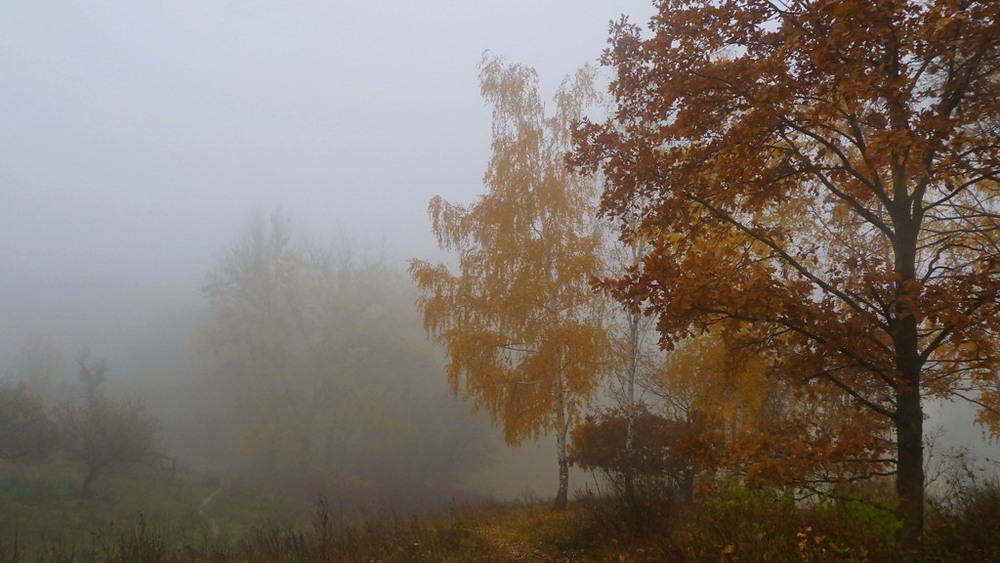 Фотографія утро.. / LANA / photographers.ua