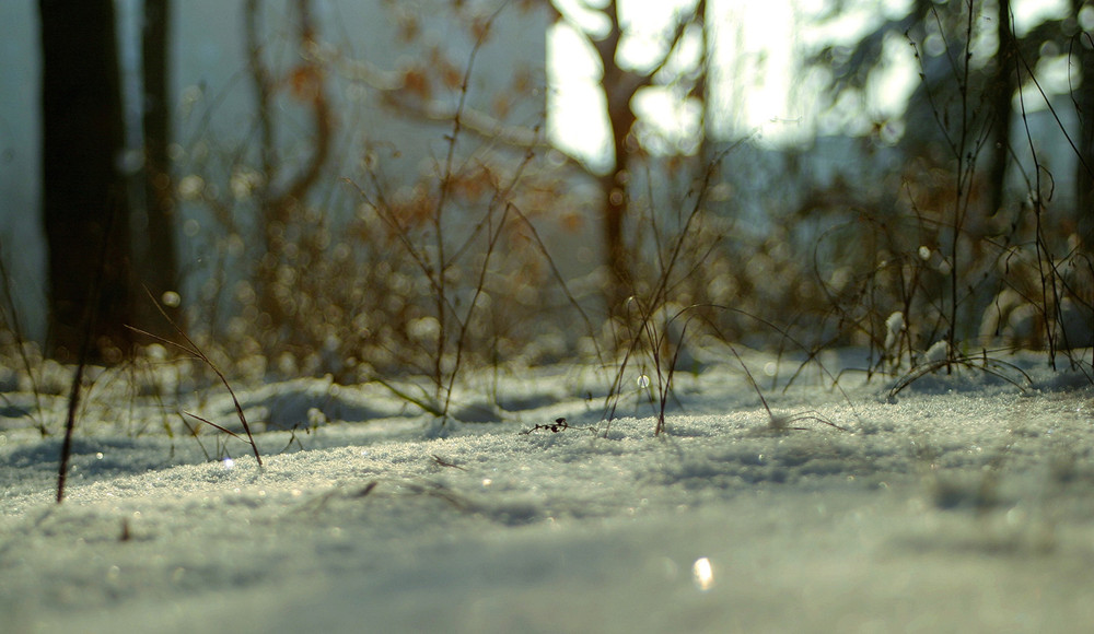Фотографія Зимнее утро / Виталий Швец / photographers.ua