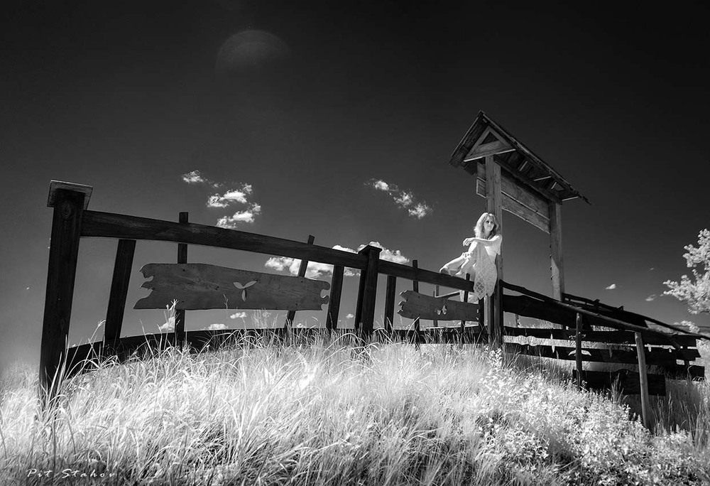 Фотографія И уносит меня в никуда На родном деревянном заборе... / Петро Стахов / photographers.ua