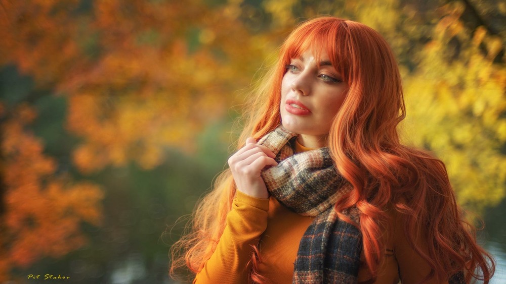 Фотографія Звістку про осінь принесла Руда лисиця. / Петро Стахов / photographers.ua