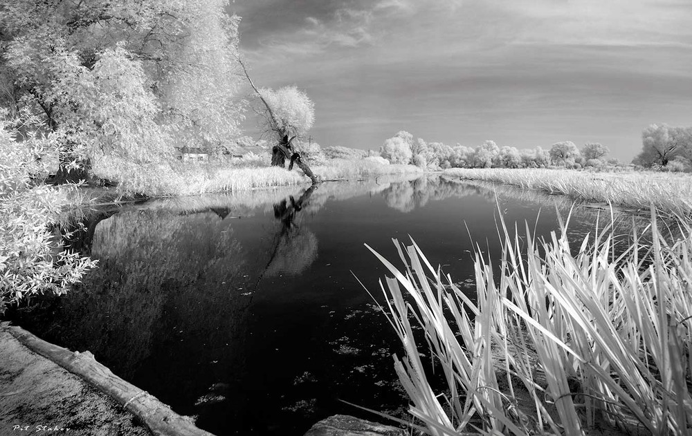 Фотографія Летняя зима / Петро Стахов / photographers.ua