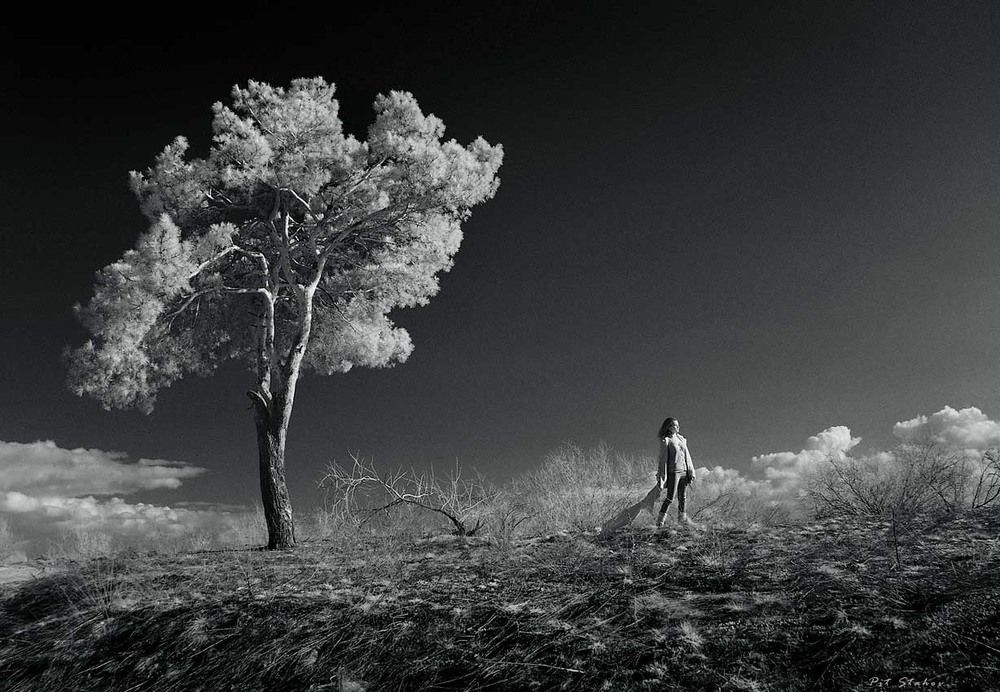 Фотографія Стояла она одиноко на краешке ветреном самом... / Петро Стахов / photographers.ua