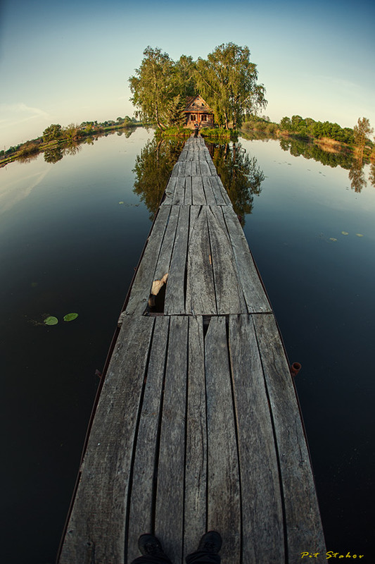 Фотографія В гости к филину / Петро Стахов / photographers.ua