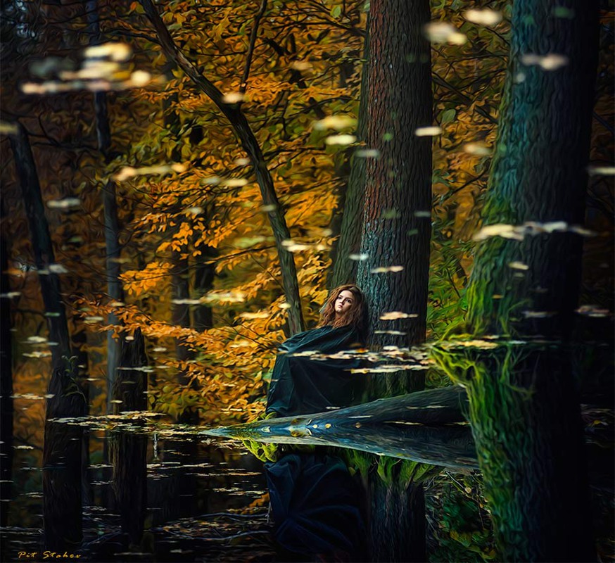 Фотографія Одинокая осень... / Петро Стахов / photographers.ua