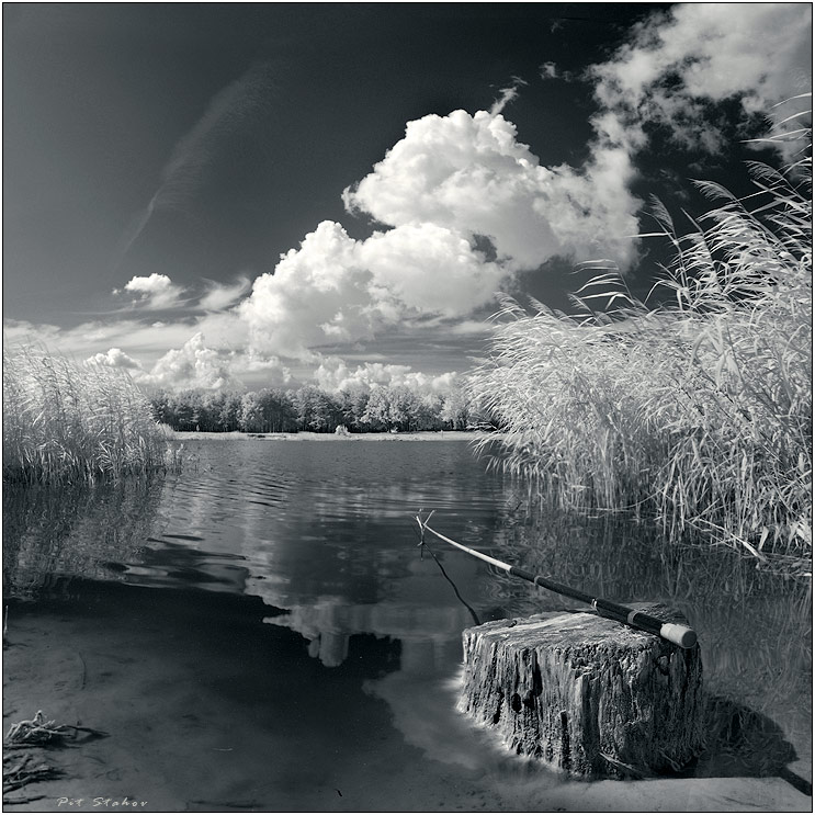 Фотографія Простой рыбацкий этюд #1 / Петро Стахов / photographers.ua