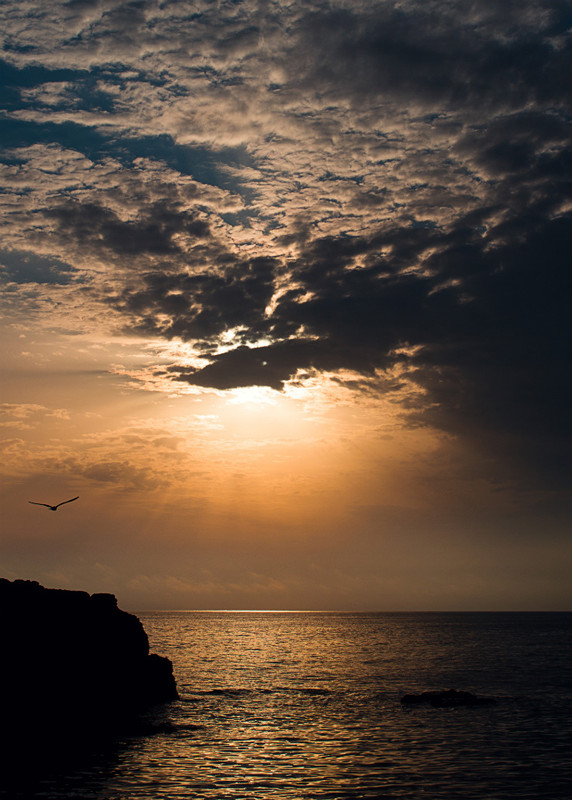 Фотографія Пейзаж / Princess / photographers.ua