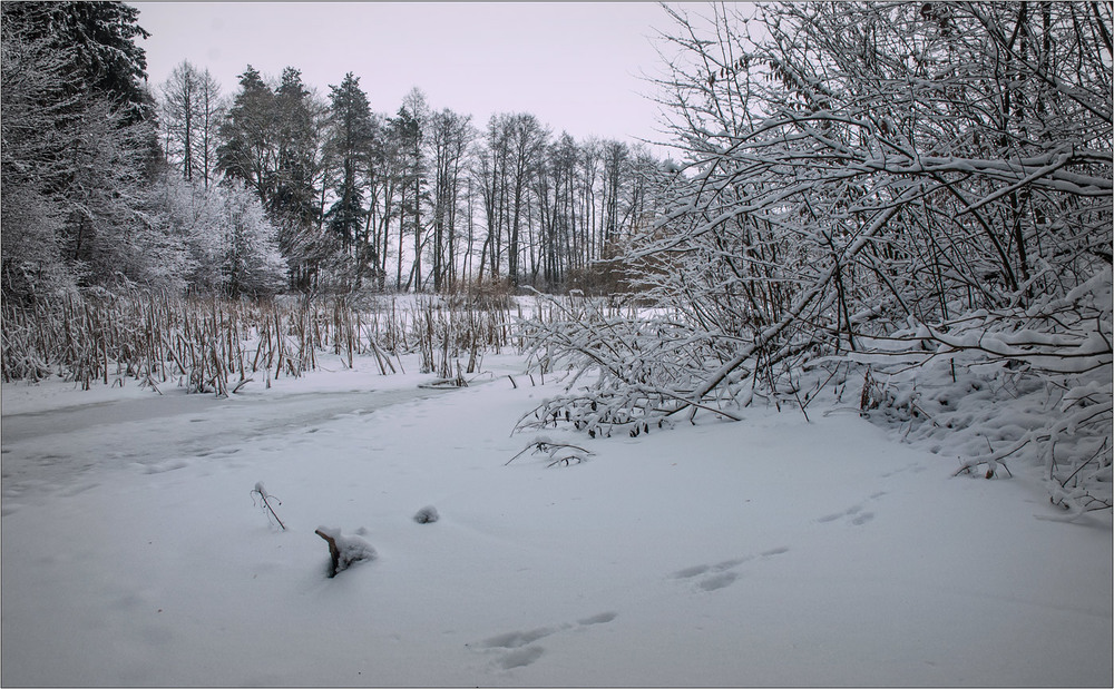 Фотографія Сліди на снігу. / Юрій Веремчук (YurijV) / photographers.ua