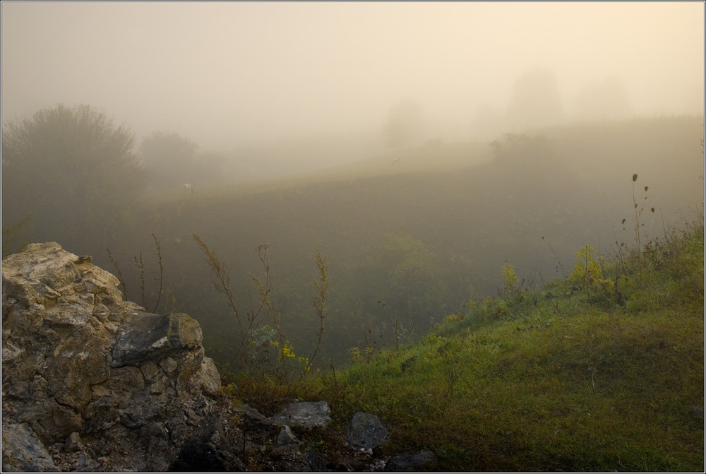 Фотографія Туман яром, туман долиною... / Юрій Веремчук (YurijV) / photographers.ua