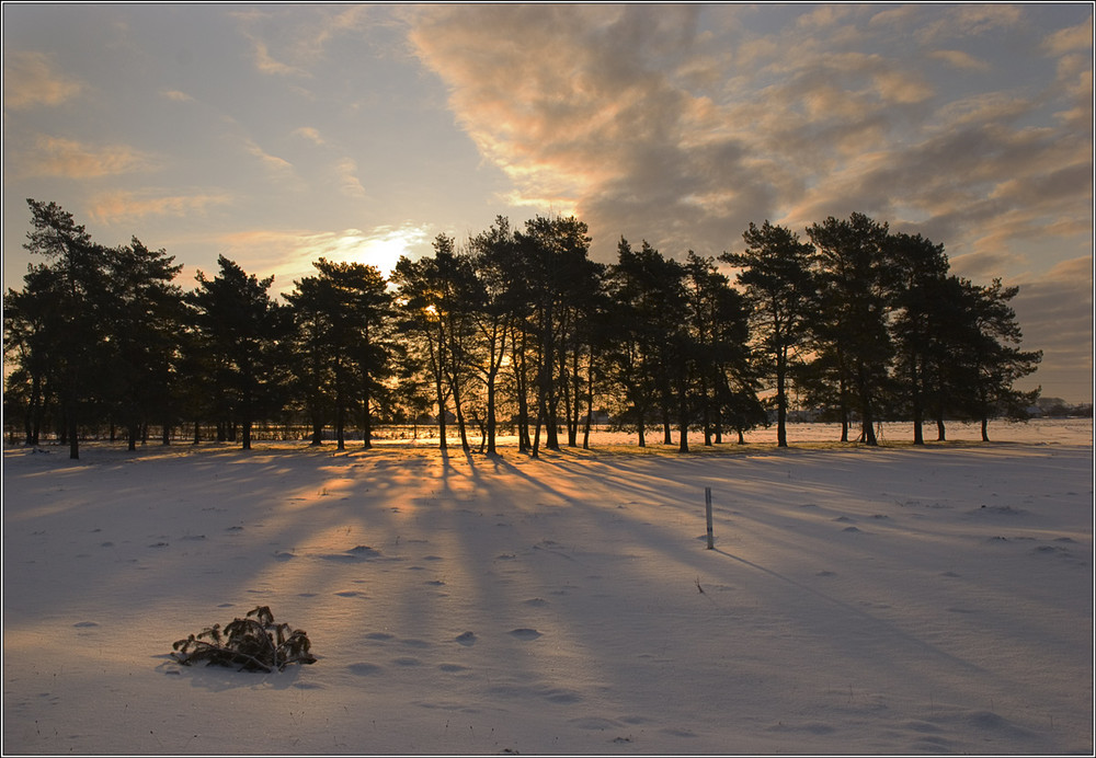 Фотографія 97 день зимы / Юрій Веремчук (YurijV) / photographers.ua