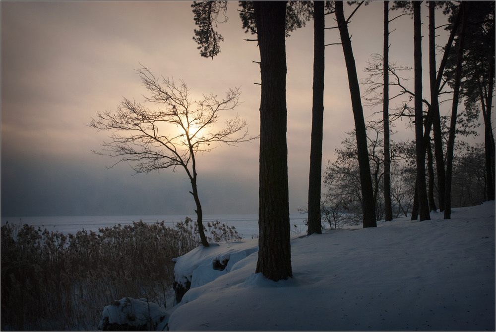 Фотографія І знову Зима! / Юрій Веремчук (YurijV) / photographers.ua