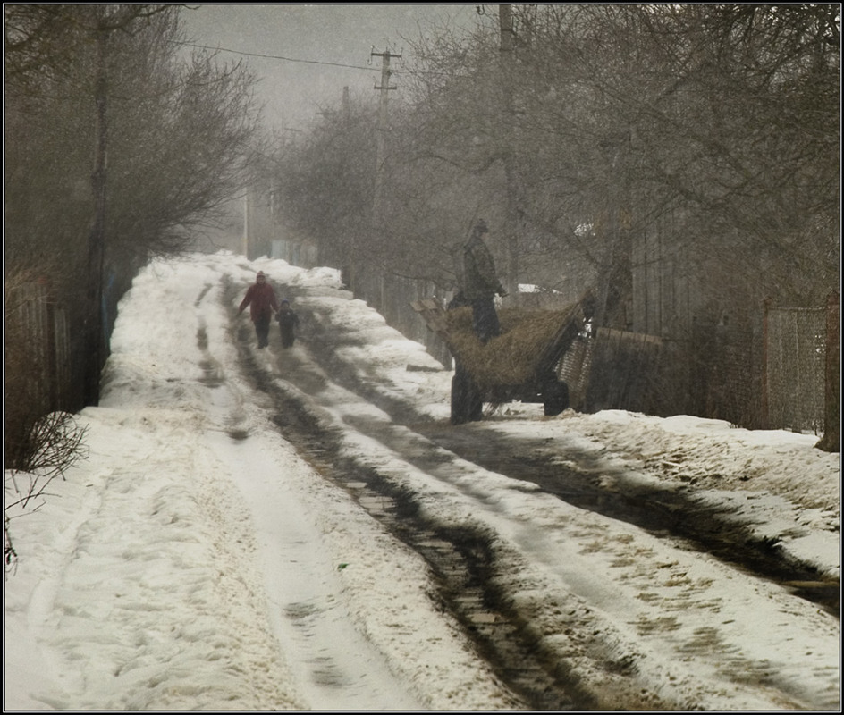 Фотографія Сніг іде, а ми скирдуєм. / Юрій Веремчук (YurijV) / photographers.ua