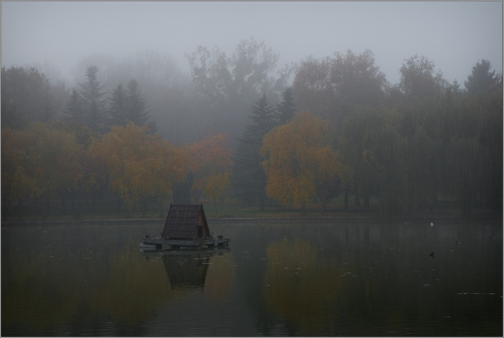 Фотографія "Лебединка" / Юрій Веремчук (YurijV) / photographers.ua