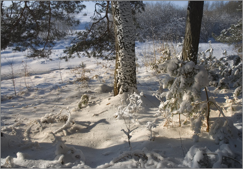 Фотографія А у НАС 107-й день зими, а у ВАС? / Юрій Веремчук (YurijV) / photographers.ua