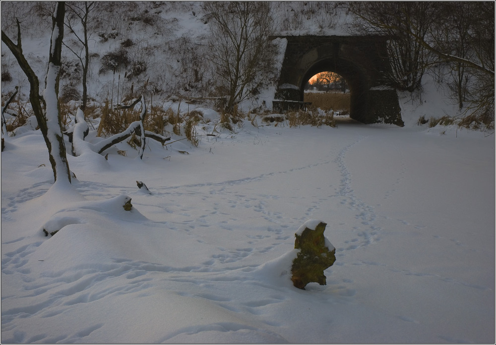 Фотографія Про танці зайців на снігу / Юрій Веремчук (YurijV) / photographers.ua