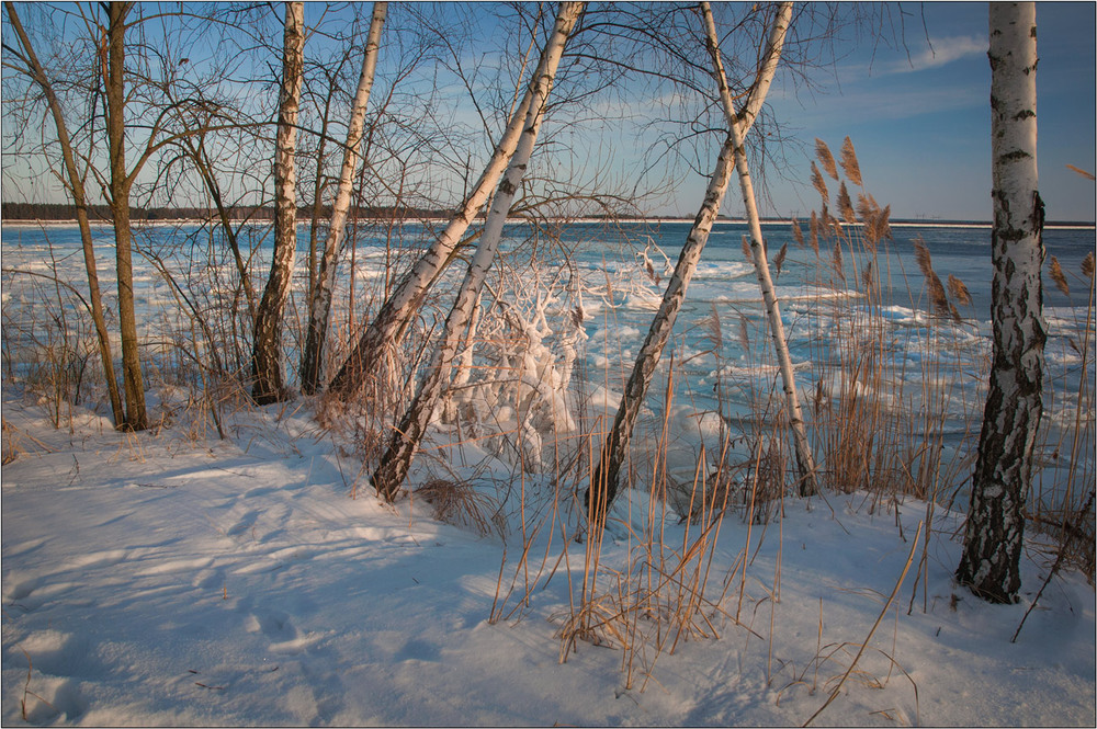 Фотографія Наша зима... / Юрій Веремчук (YurijV) / photographers.ua