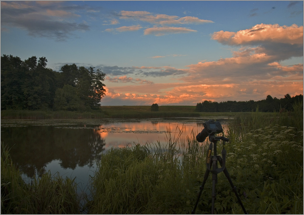 Фотографія Фоторобот-2, або.. знімаємо жабку у променях вечірнього сонечка! / Юрій Веремчук (YurijV) / photographers.ua