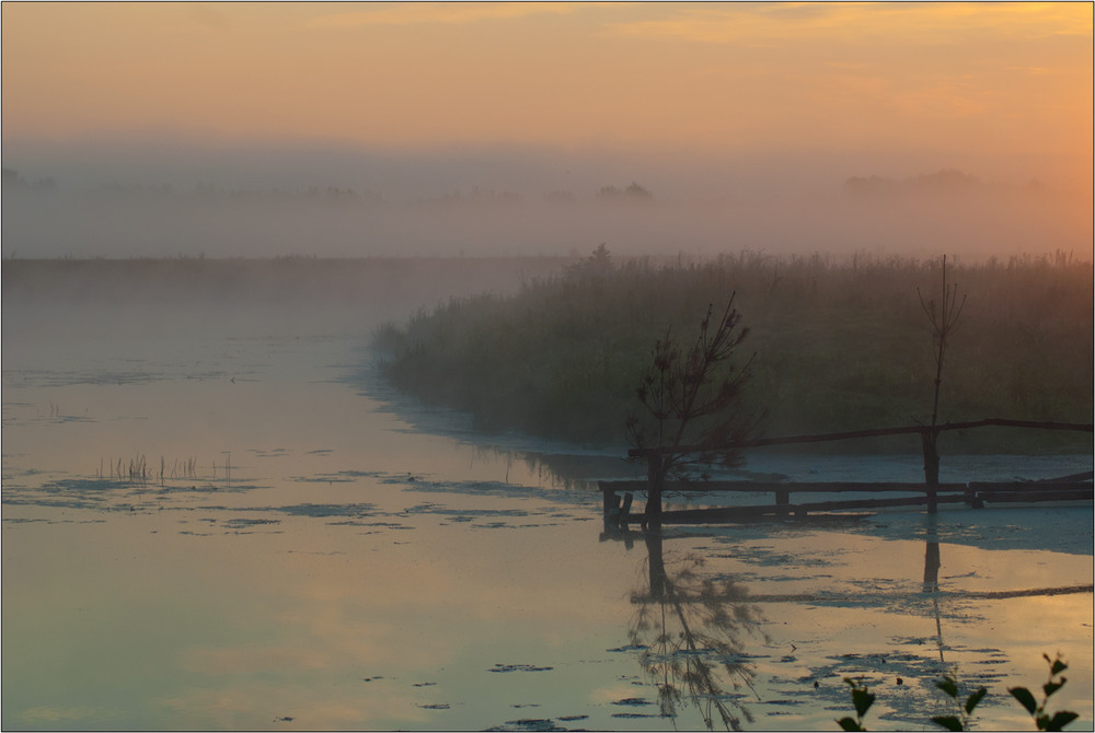 Фотографія Заблукавши в серпневому ранці... / Юрій Веремчук (YurijV) / photographers.ua