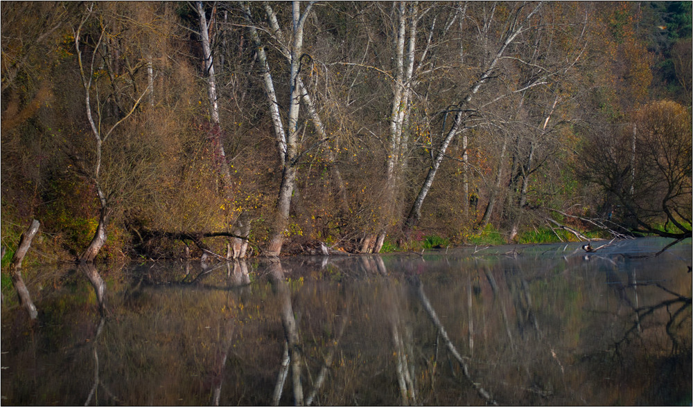 Фотографія Спливаюча осінь... / Юрій Веремчук (YurijV) / photographers.ua