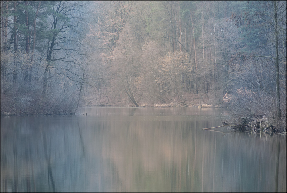 Фотографія Україна. Березень. 15-й день. Урочище "Безодня". / Юрій Веремчук (YurijV) / photographers.ua