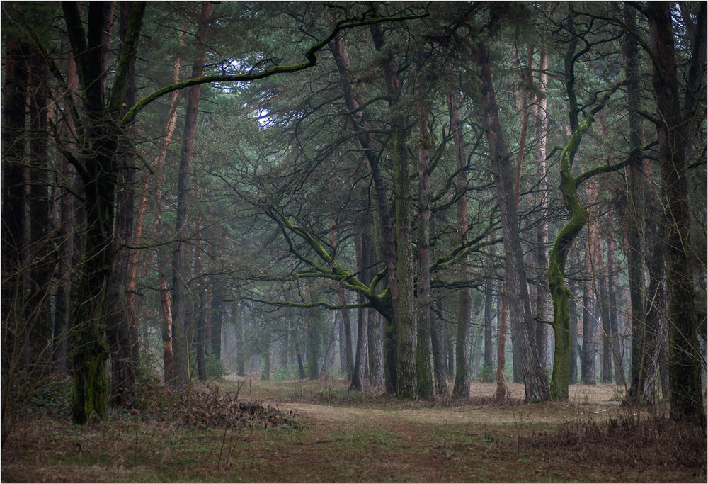 Фотографія 15-й день весни (7-й після 8-го березня). / Юрій Веремчук (YurijV) / photographers.ua