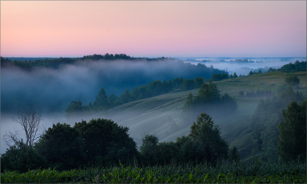 Фотографія Туманне полісся. / Юрій Веремчук (YurijV) / photographers.ua