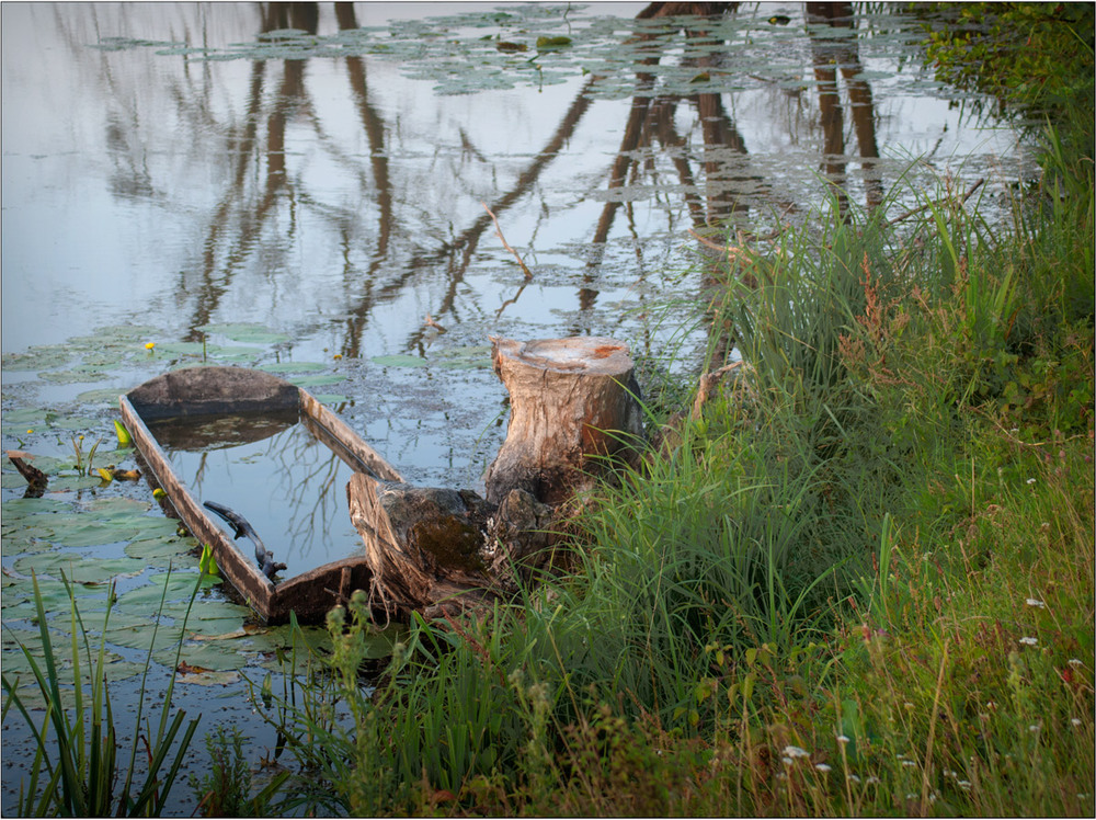 Фотографія Бобри згризають, вода підтоплює... / Юрій Веремчук (YurijV) / photographers.ua