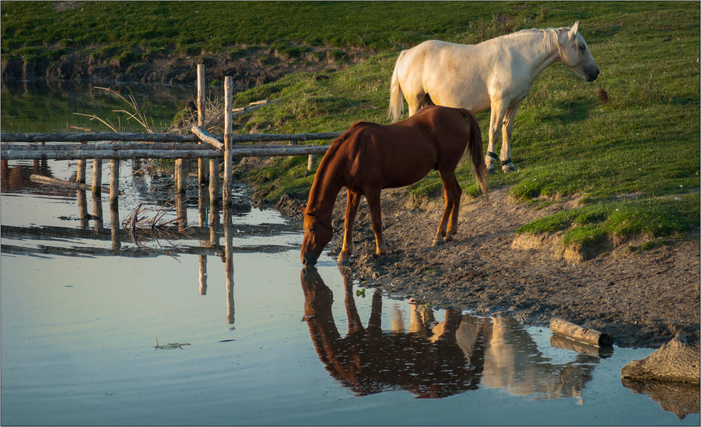 Фотографія Вже коні води напились... / Юрій Веремчук (YurijV) / photographers.ua