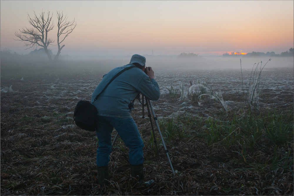 Фотографія Павукове царство. / Юрій Веремчук (YurijV) / photographers.ua