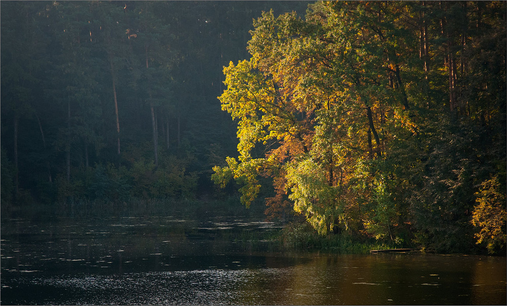 Фотографія Все навкруги фарбує осінь ніжним світлом... / Юрій Веремчук (YurijV) / photographers.ua