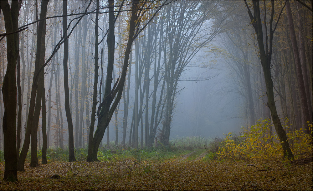 Фотографія Там за туманами, вологими дурманами, причаїлось село моє... / Юрій Веремчук (YurijV) / photographers.ua