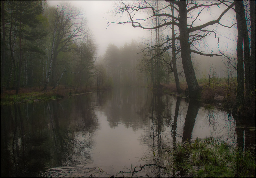 Фотографія Клаптик весняної річки Бобер в легкому тумані... / Юрій Веремчук (YurijV) / photographers.ua