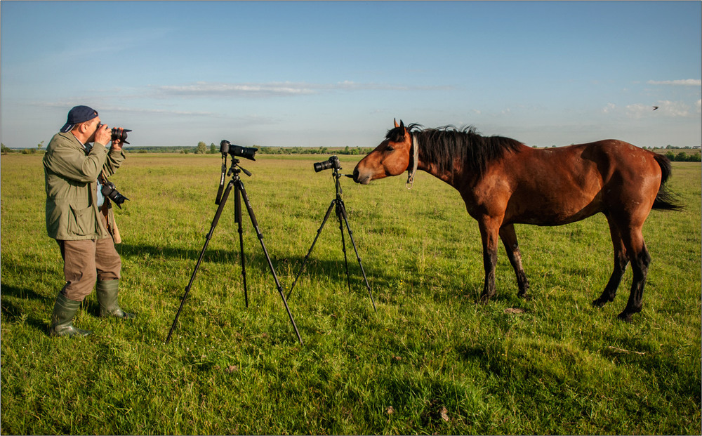 Фотографія Mustangophotographer.RV / Юрій Веремчук (YurijV) / photographers.ua