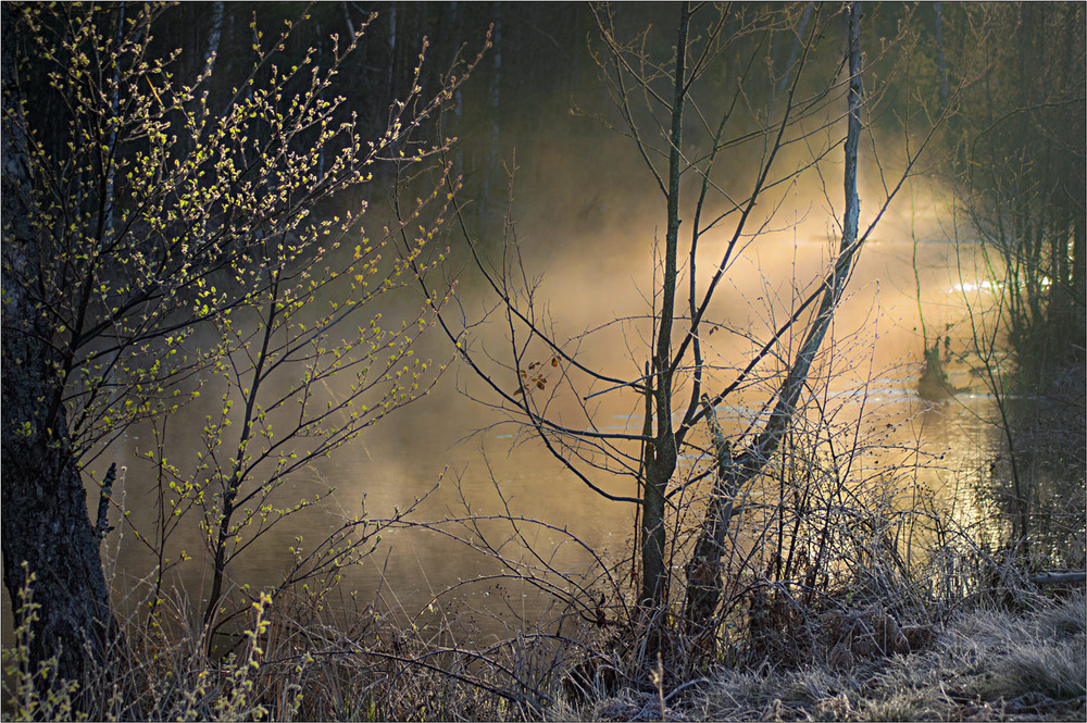 Фотографія Квітневий туман стелиться по річечці... / Юрій Веремчук (YurijV) / photographers.ua