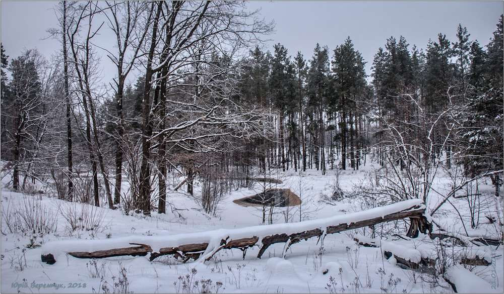 Фотографія Просто зима! / Юрій Веремчук (YurijV) / photographers.ua