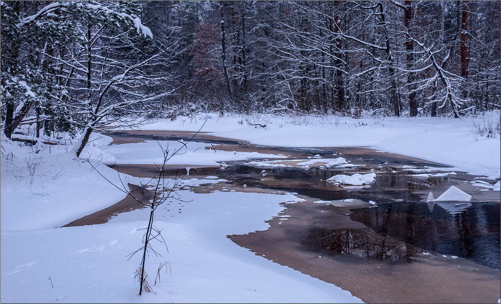 Фотографія Слід звіра на свіжому сніжку... / Юрій Веремчук (YurijV) / photographers.ua