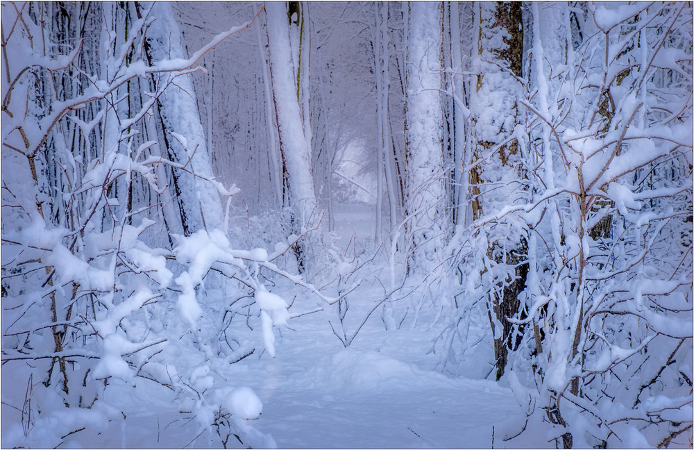Фотографія Зима... / Юрій Веремчук (YurijV) / photographers.ua