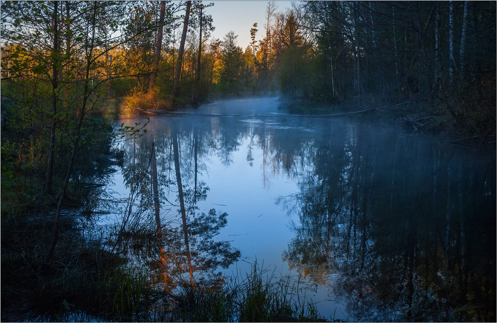Фотографія Ранок на бобровій річці (квітневий)... / Юрій Веремчук (YurijV) / photographers.ua