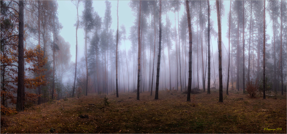 Фотографія Осінній туман / Юрій Веремчук (YurijV) / photographers.ua