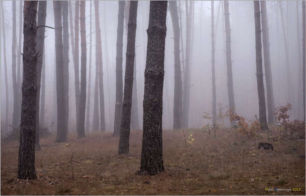 Фотографія Народження туману... / Юрій Веремчук (YurijV) / photographers.ua