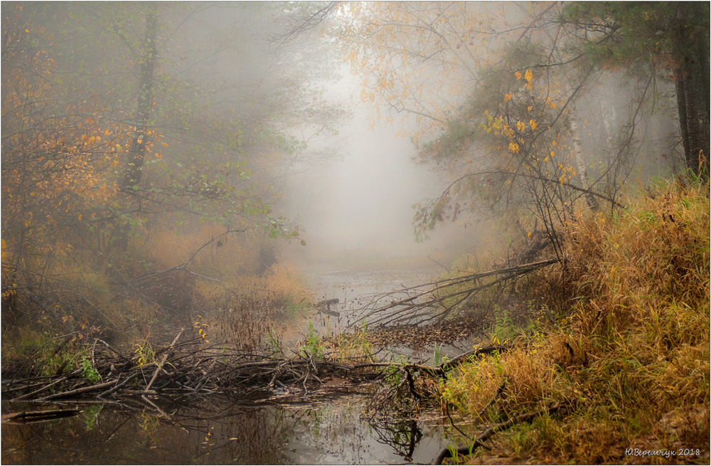 Фотографія Ранок починається з туману... / Юрій Веремчук (YurijV) / photographers.ua